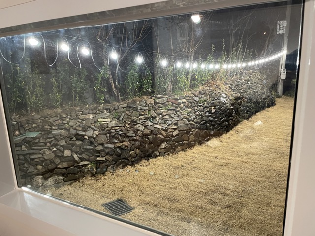 밤엔 마당에 불을 켜진 창밖 뷰를 감상할 수 있다.