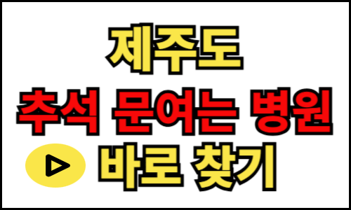 제주도 문 여는 병원, 추석 설날 연휴 문 여는 병의원 약국 찾기
