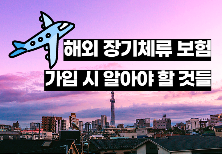 장기 체류 보험