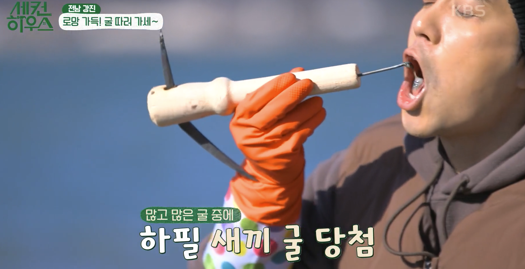 굴에 대해서 설명하는 문단입니다.