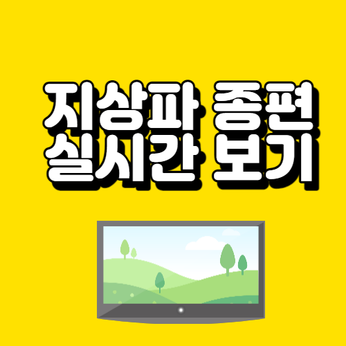 공중파 종편 실시간 보는법