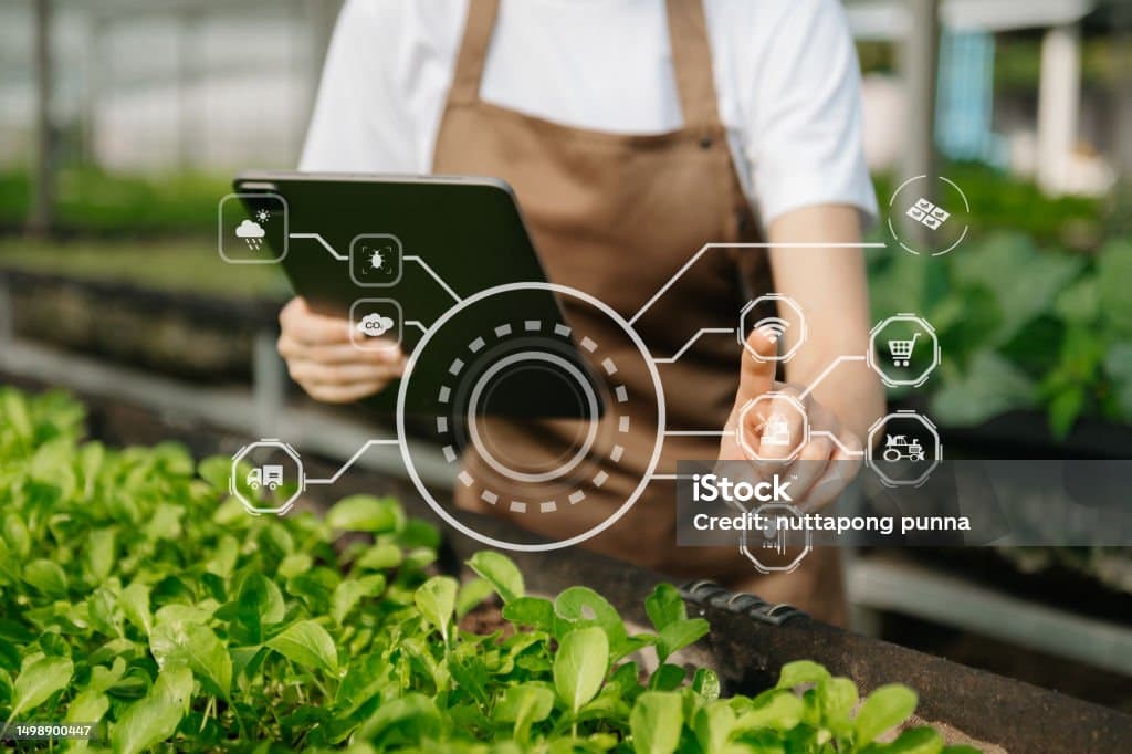 작은 공간에서도 가능한 스마트 가드닝 아이디어