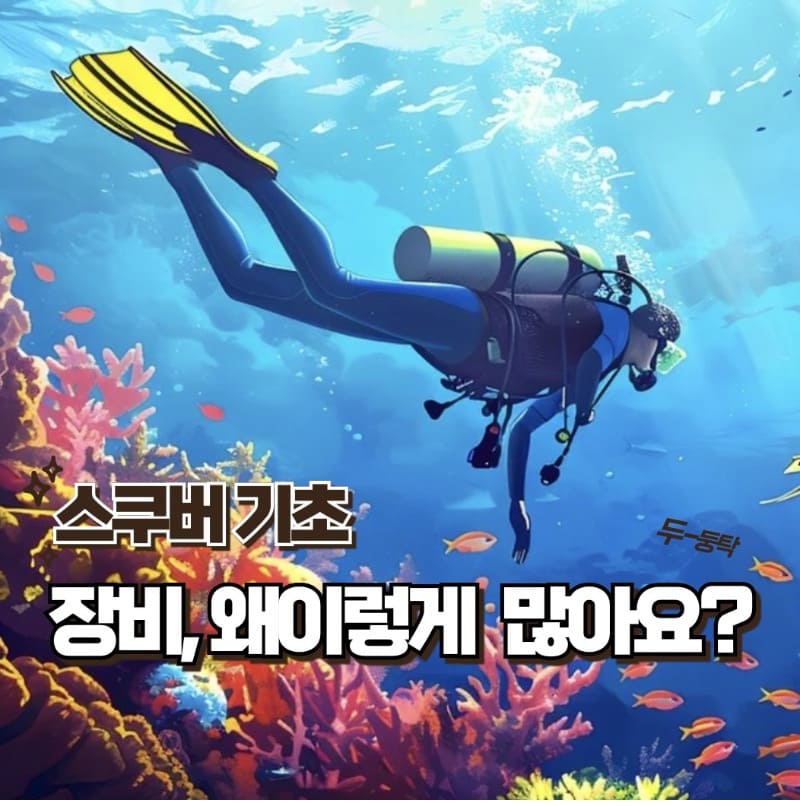 스쿠버다이빙 장비 왜이렇게 많을까