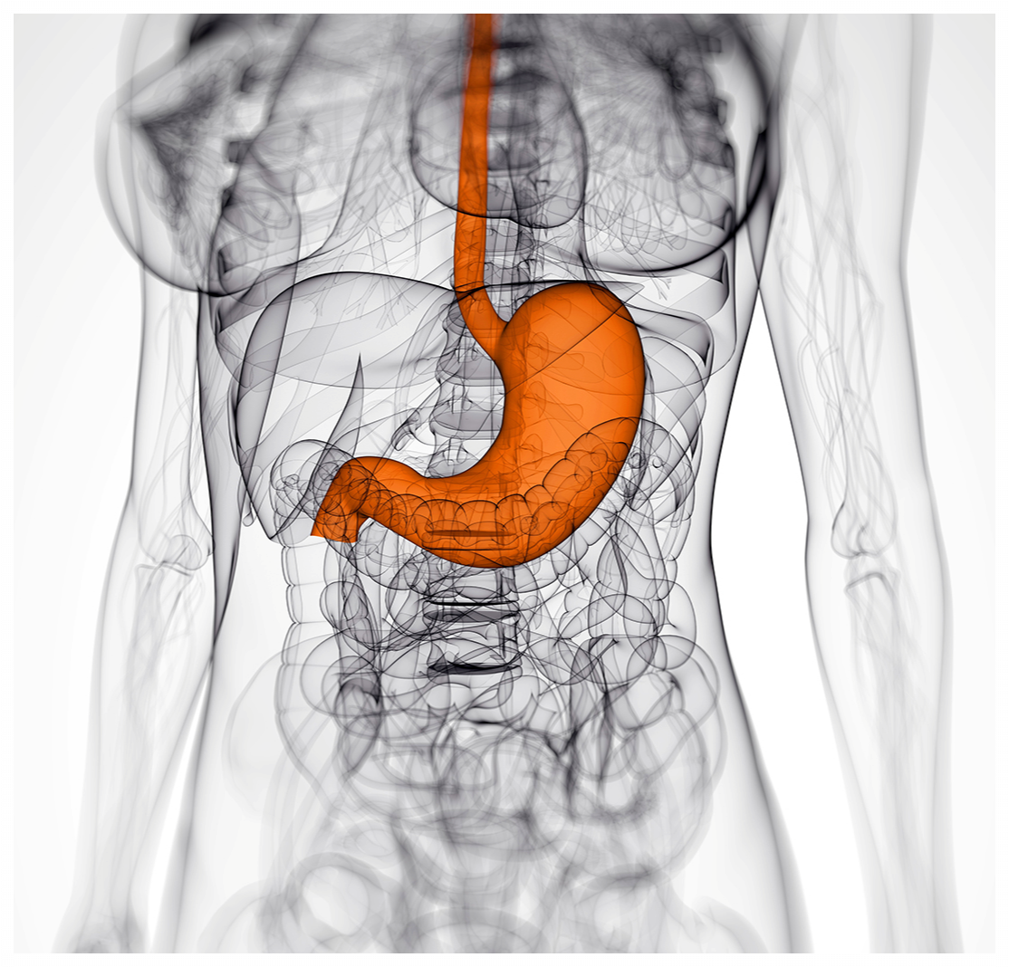 위내시경-금식시간