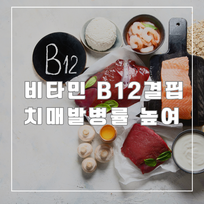 비타민 B12 결핍