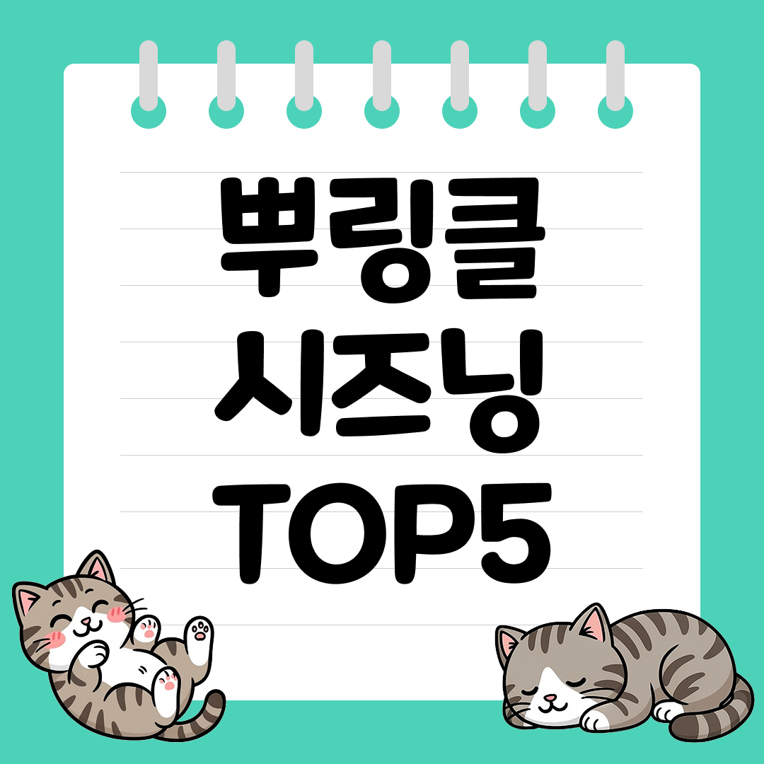 단짠단짠 중독성 있는 뿌링클 시즈닝 추천 순위 TOP5