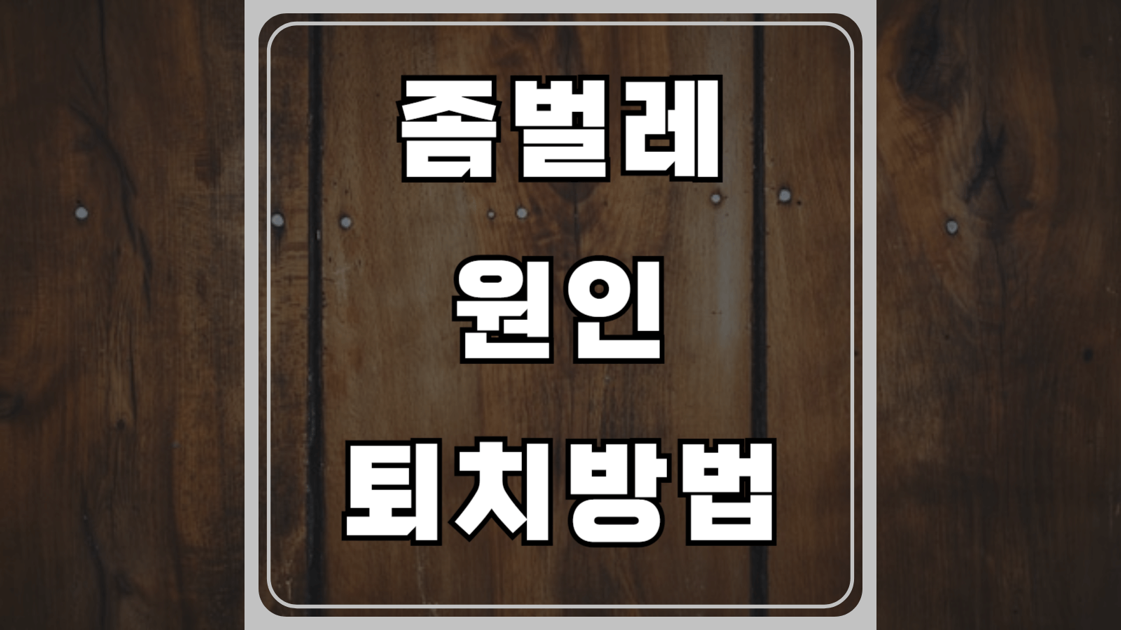 좀벌레 원인과 퇴치방법