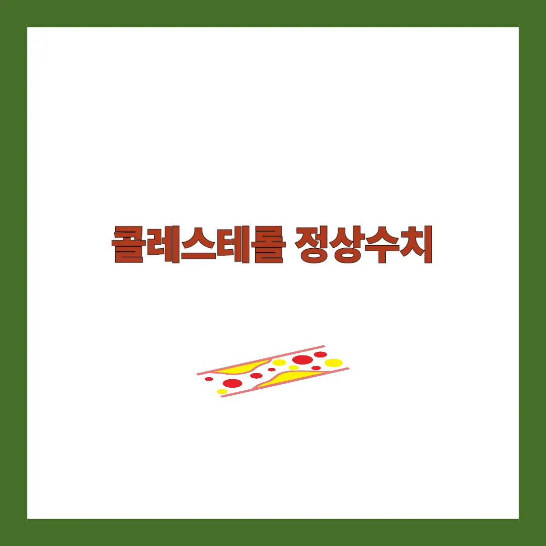 콜레스테롤 정상수치
