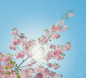 비타민D 부족 증상 섭취방법 많은 음식