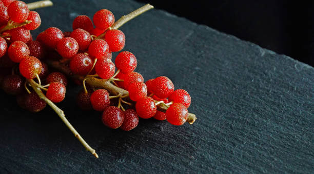 오미자 효소 효능