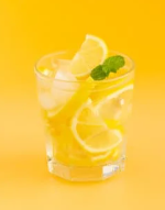 다이어트 식단 연예인