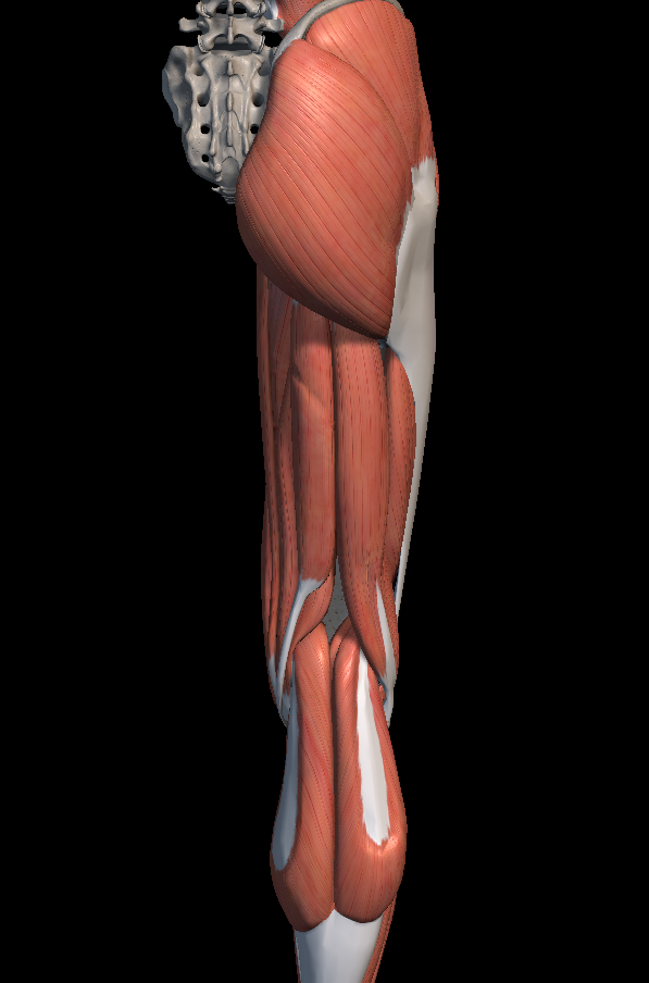 횡문근 융해증 원인