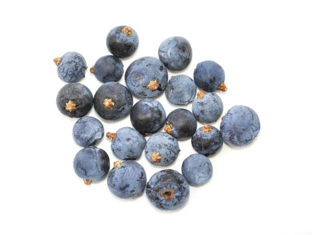 주니퍼베리 효능