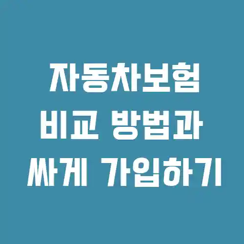 다이렉트 자동차 보험 비교