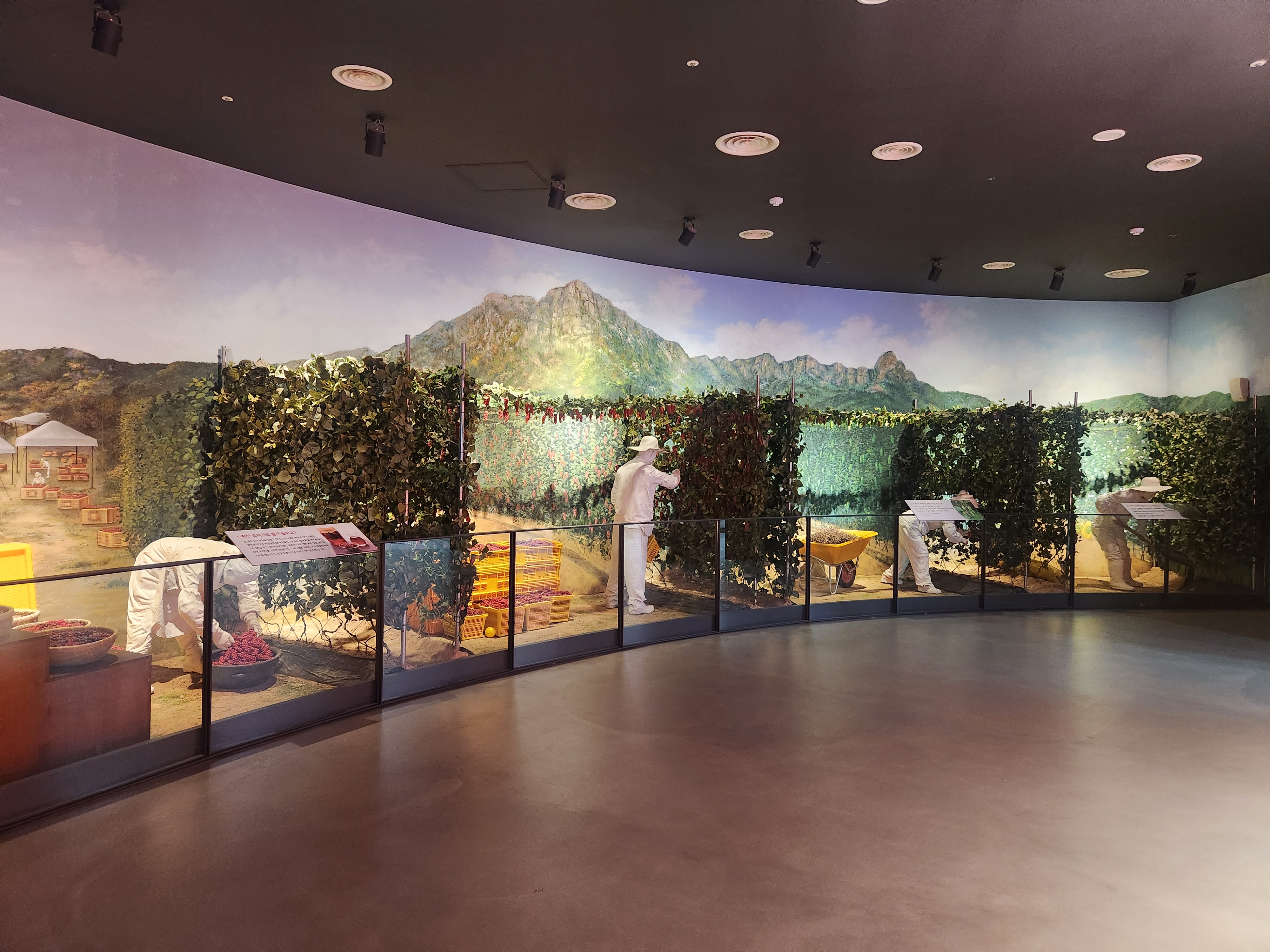 오미자 전시관으로 오미자 생산과정을 한눈에 알아볼 수 있는 전시관