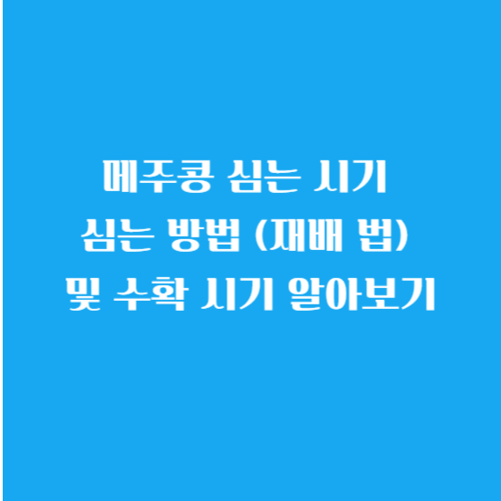 메주콩 심는 시기 (파종시기) 심는 방법 (재배 법) 및 수확 시기 알아보기