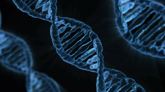 개인 맞춤형 영양 유전자 검사로 최적의 다이어트 찾기