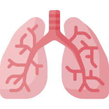 폐에 물이 차는 원인