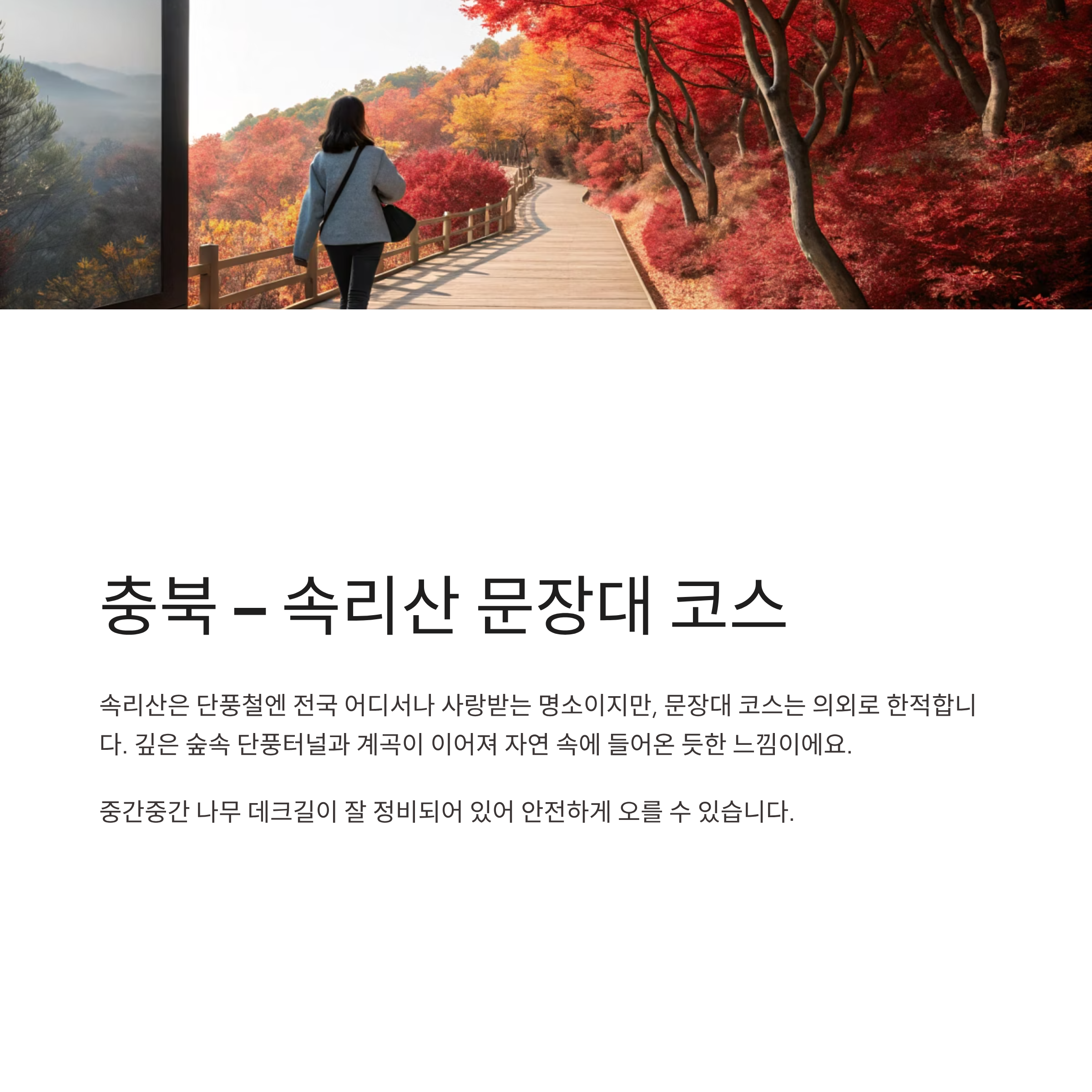 2025 가을 단풍 등산코스 추천 ❘ 혼잡 피해서 걷는 전국 힐링 명소 7선