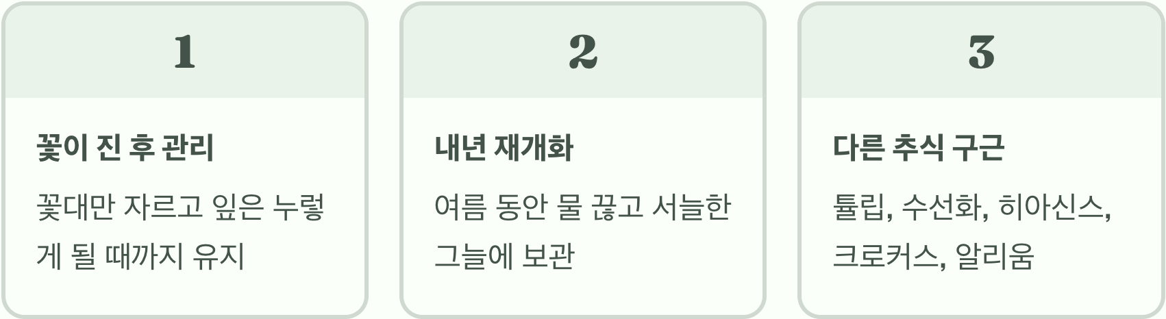 아파트 베란다에서 무스카리 화분 키우기, 실패 없는 5가지 팁
