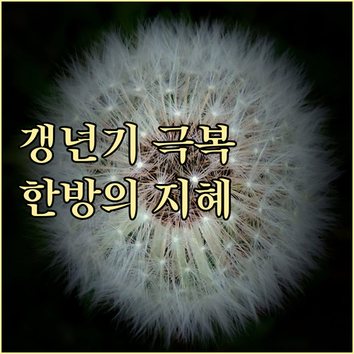 갱년기 증상 완화 한방 치료의 특별한