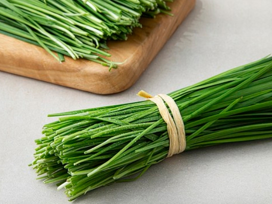 부추 효능 부작용