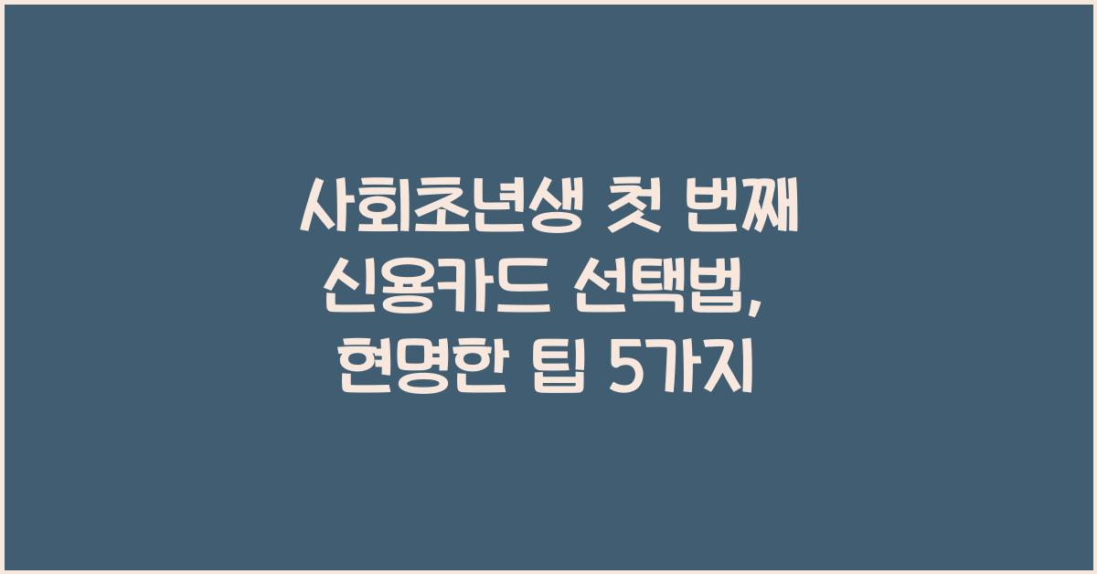 사회초년생 첫 번째 신용카드 선택법