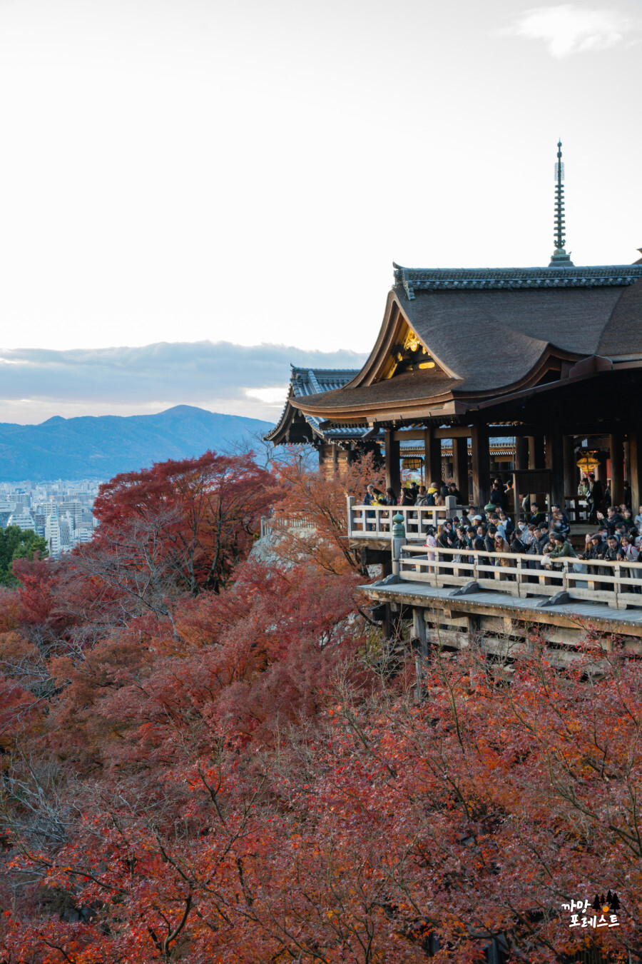 교토 기요미즈데라 청수사 단풍