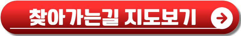화순 고인돌 가을꽃축제