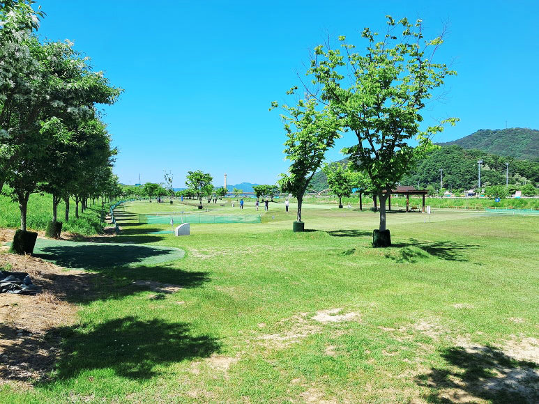 경상북도 고령군 고령대가야파크골프장 소개