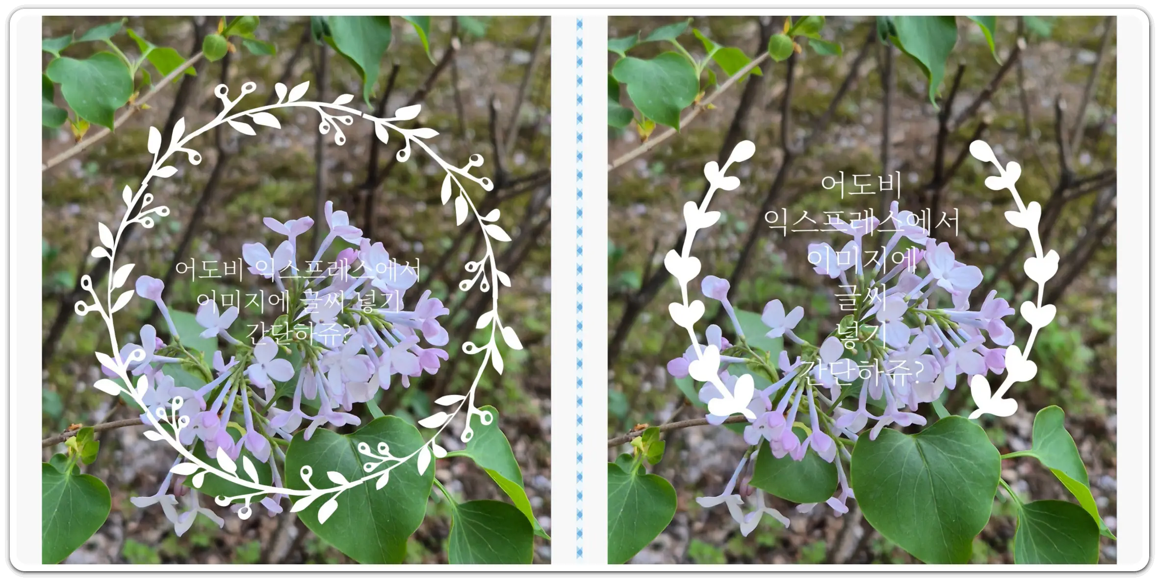 핸드폰으로-사진에-글씨-넣기-방법