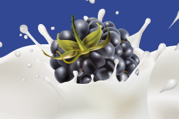 고혈압에 좋은 음식 8가지와 고혈압 예방을 위한 식단 팁!