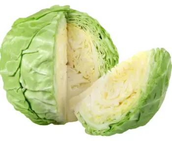 양배추 효능 및 부작용&amp;#44; 영양성분