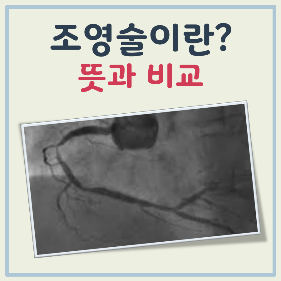 조영술 이란 대표 이미지