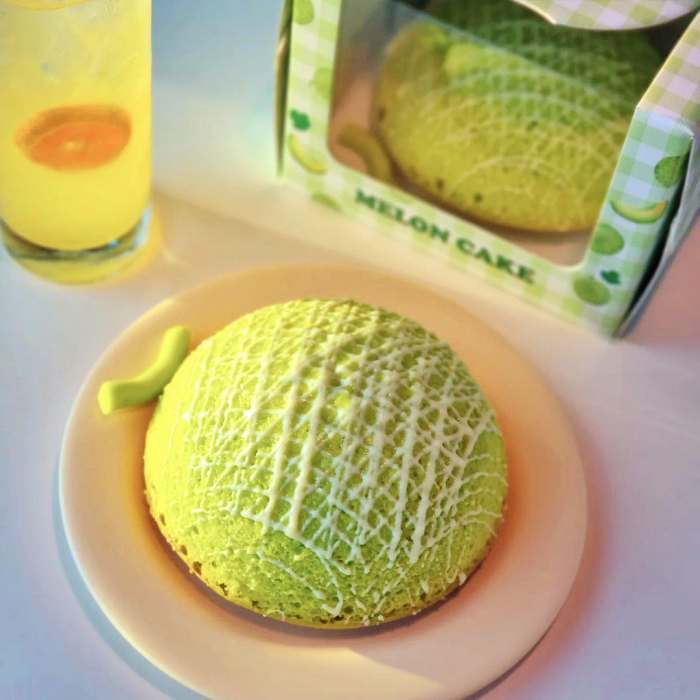 6시내고향 곡성 기차마을 곡성멜론 수플레 맛집