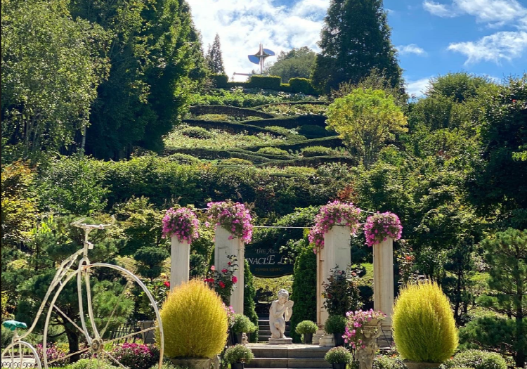 피나클랜드 수목원