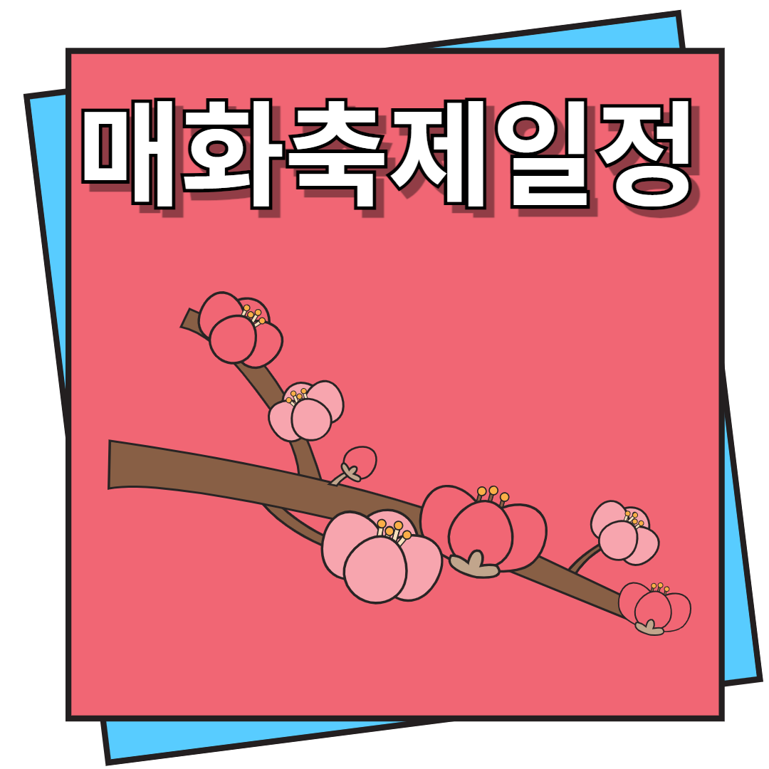 매화 축제 일정