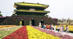 10월 전국축제 일정표