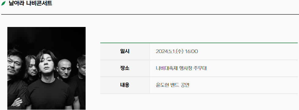 함평 나비 축제7