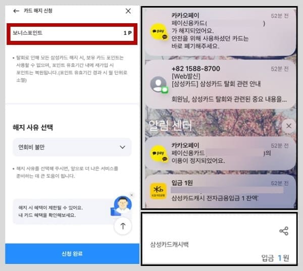 삼성카드탈회완료
