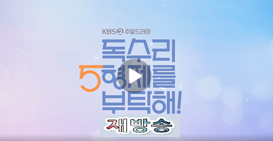 독수리오형제를 부탁해 다시보기