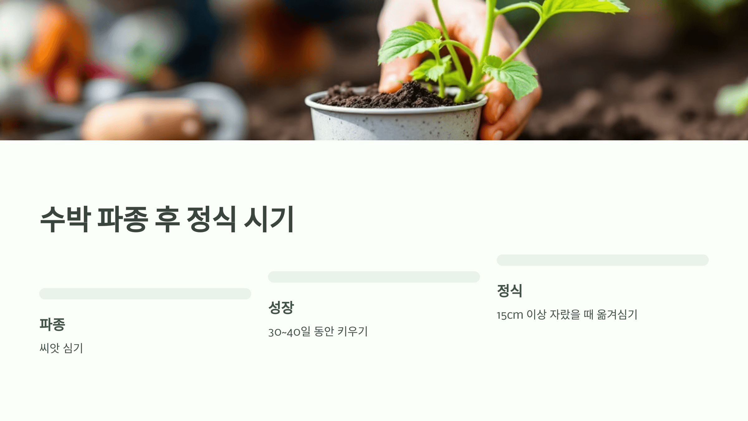 수박 사진입니다.