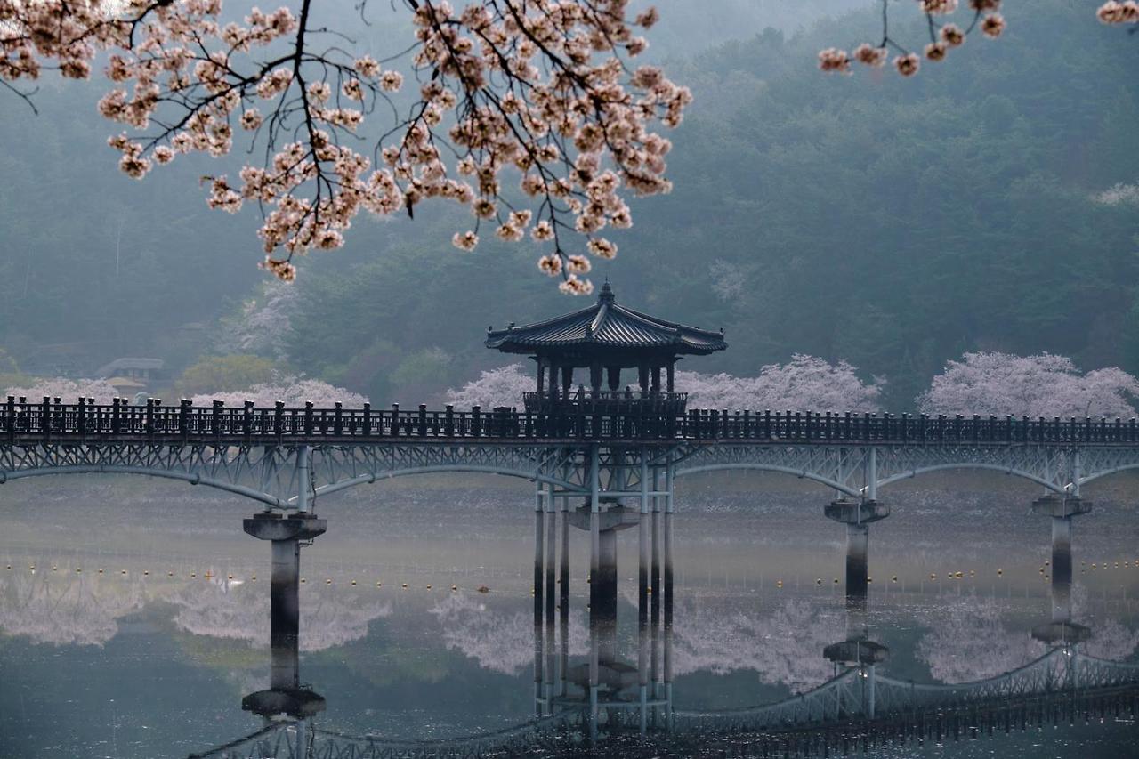 2026 진해군항제 셔틀버스 노선 확인하러 가기