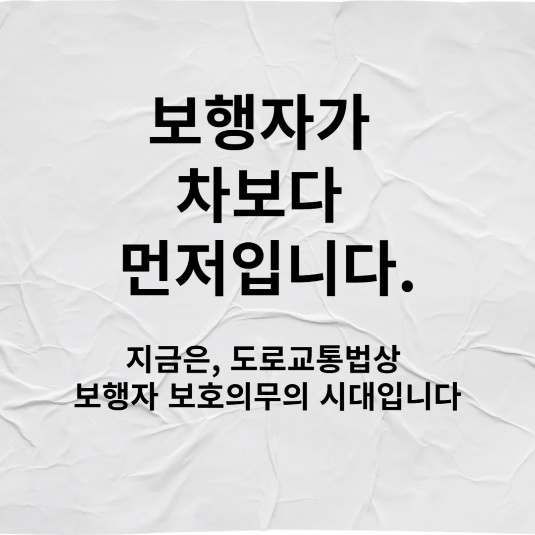 보행자 보호 의무