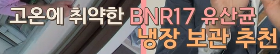 bnr17유산균 복용법