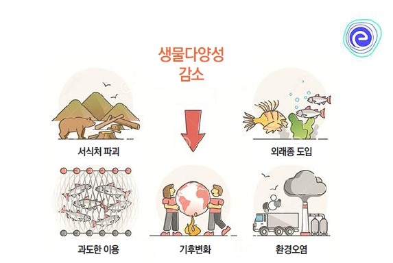 생물의 다양성: 멸종의 도미노를 막기 위한 실천