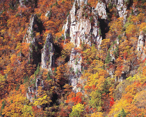 설악산단풍-1 