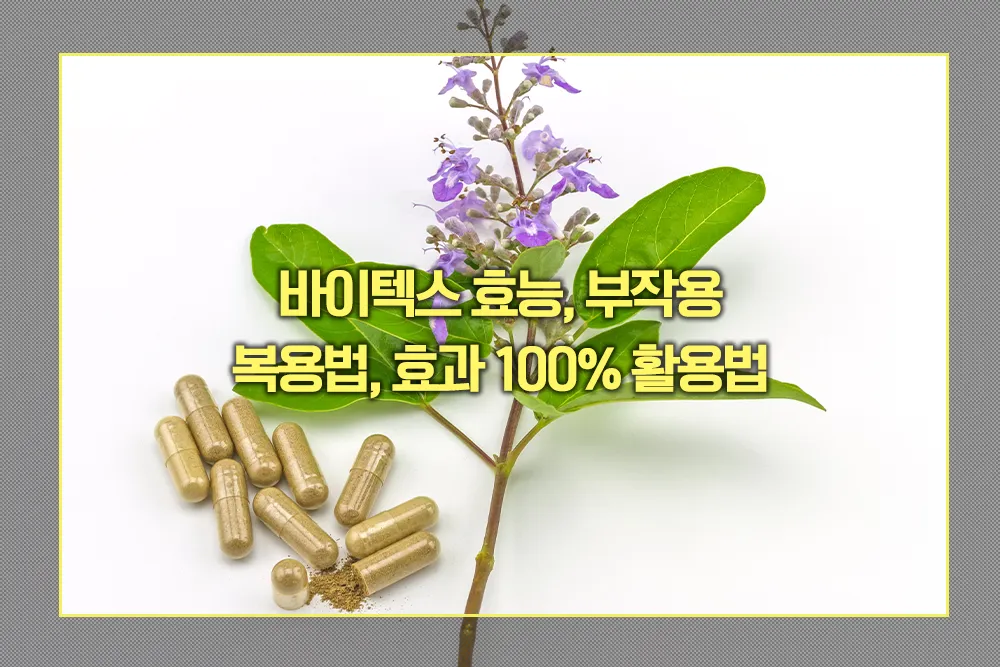 바이텍스 효능 부작용