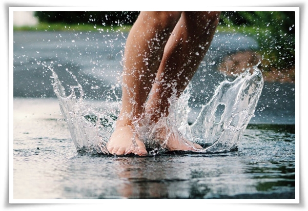 웰빙 &quot;2025년 장마&quot; 폭염과 폭우? 기상청 전망부터 대비까지 총 정리!