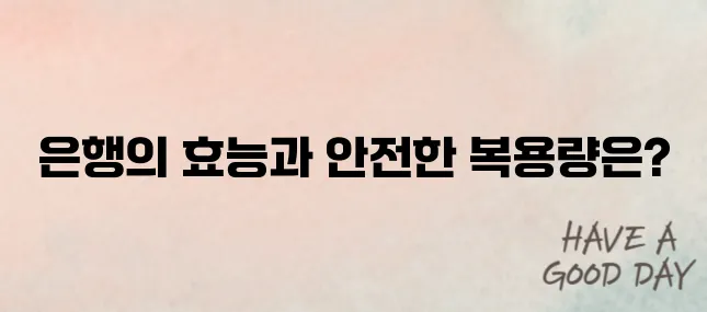 은행 효능과 부작용, 하루 몇 알이 적당할까? 전문가가 알려드립니다
